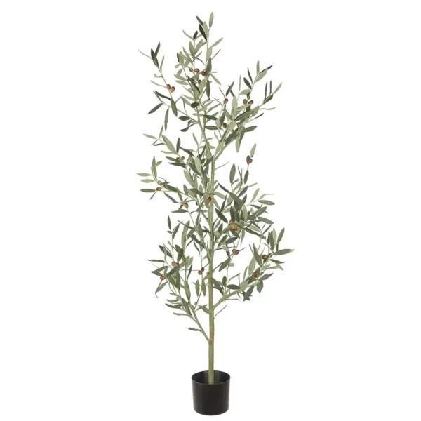 Olivträd 140 cm